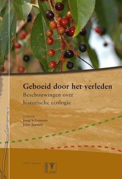 Geboeid door het verleden, Joop Schaminee ; John Janssen - Paperback - 9789050114493