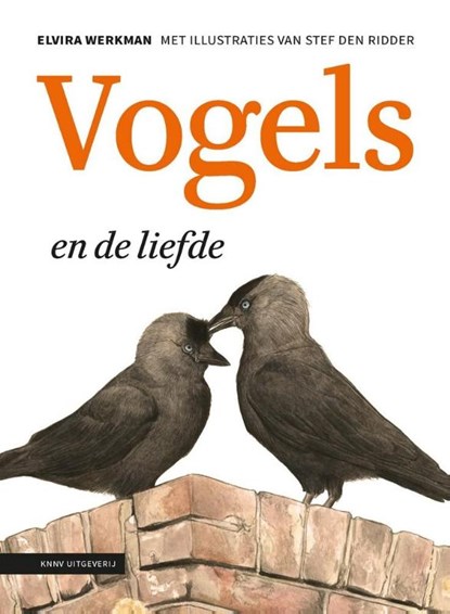 Vogels en de liefde, Elvira Werkman - Gebonden - 9789050116077