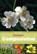Basisgids composieten, Arie van den Bremer - Paperback - 9789050116121
