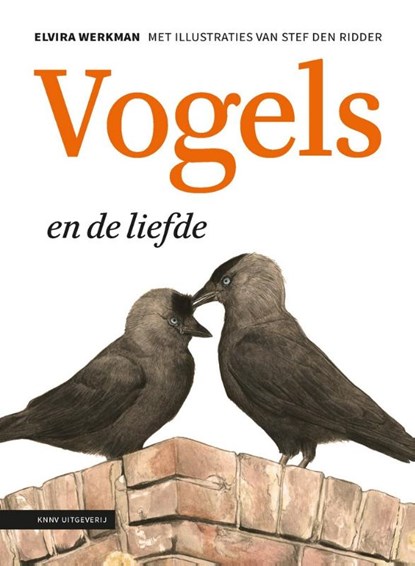 Vogels en de liefde, Elvira Werkman - Paperback - 9789050116237