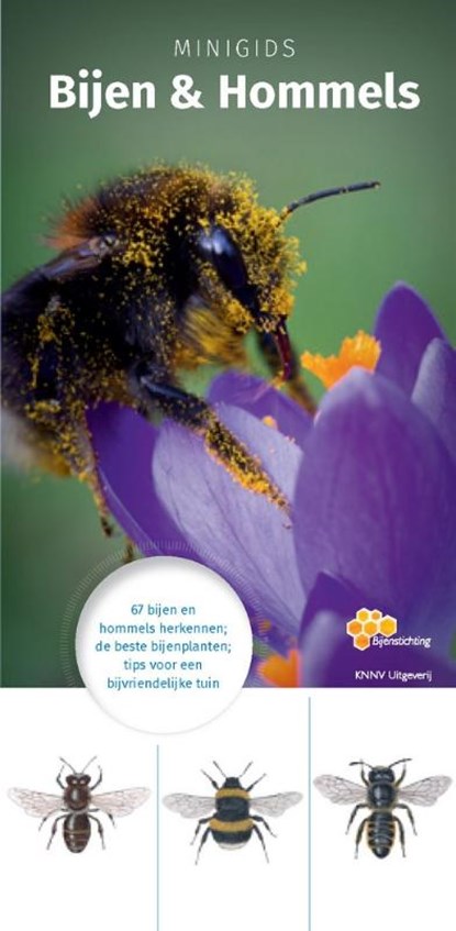 Minigids Bijen en Hommels, Maureen Kemperink - Paperback - 9789050116374