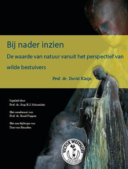 Bij nader inzien, David Kleijn - Paperback - 9789050116510