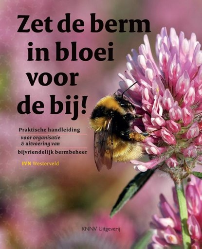 Zet de berm in bloei voor de bij, IVN Westerveld - Paperback - 9789050116589