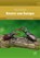 Veldgids Kevers van Europa, Vincent Albouy ; Denis Richard - Gebonden - 9789050116664