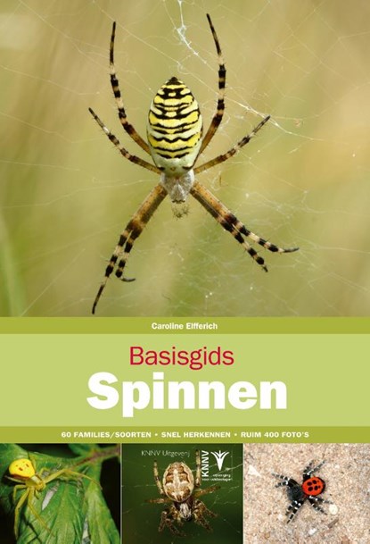 Basisgids Spinnen, Caroline Elfferich - Paperback - 9789050116671
