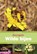 Basisgids Wilde bijen, Pieter van Breugel - Paperback - 9789050116848