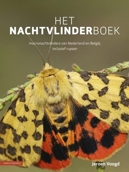 Het nachtvlinderboek, Jeroen Voogd - Gebonden - 9789050117043