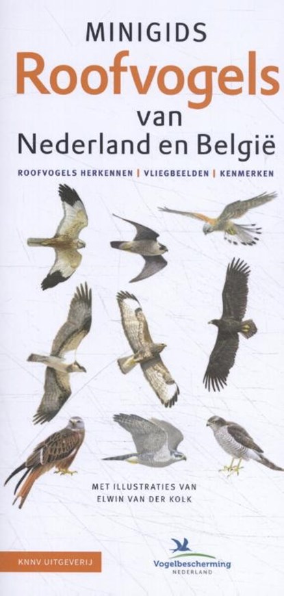Minigids Roofvogels van Nederland en België, Jip Louwe Kooijmans - Losbladig - 9789050117128