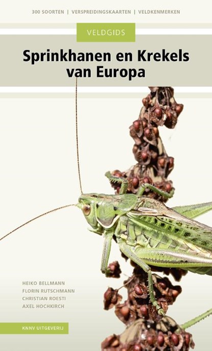 Veldgids Sprinkhanen en krekels van Europa, Heiko Bellmann ; Florin Rutschmann ; Christian Roesti ; Axel Hochkirch - Paperback - 9789050117326