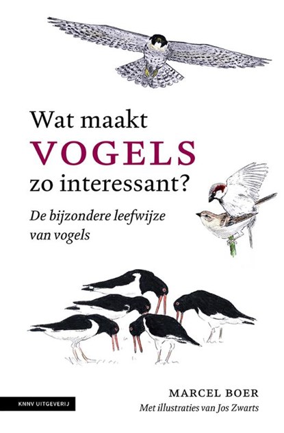 Wat maakt vogels zo interessant, Marcel Boer - Paperback - 9789050117500
