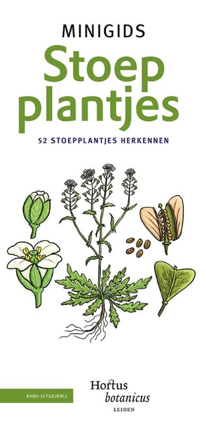 Minigids Stoepplantjes, Hortus Botanicus Leiden - Losbladig - 9789050117517