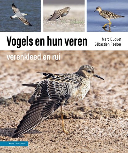 Vogels en hun veren, Marc Duquet ; Sébastien Reeber - Paperback - 9789050117678