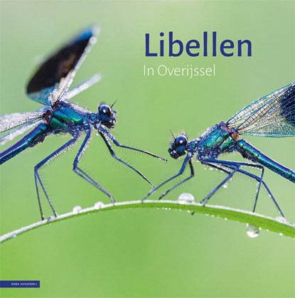 Libellen in Overijssel, Evert Ruiter ; Gabi Mulder-Milderij ; Martijn Bunskoek ; Alex Huizinga - Gebonden - 9789050117739