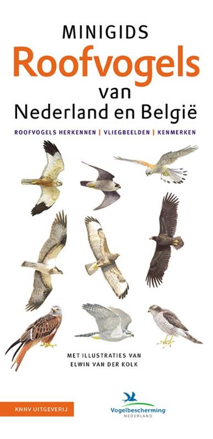 Set Minigids Roofvogels van Nederland en Belgie, Jip Louwe Kooijmans - Losbladig - 9789050117777