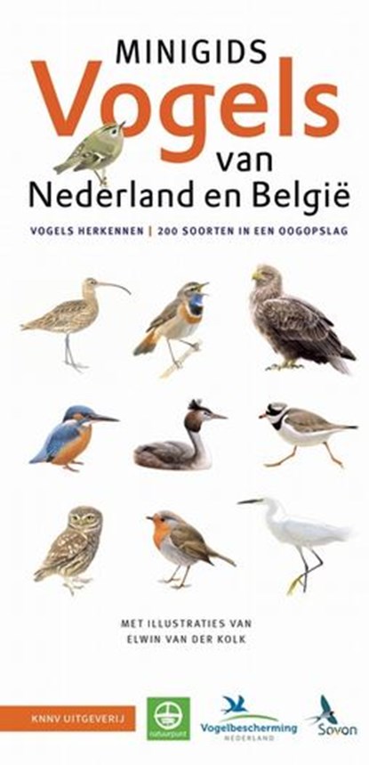 Set Minigids Vogels van Nederland en België, Jip Louwe Kooijmans - Gebonden - 9789050117784