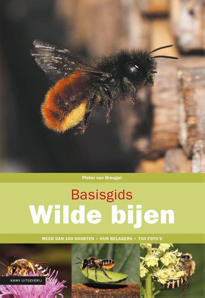 Basisgids wilde bijen, Pieter van Breugel - Paperback - 9789050117920