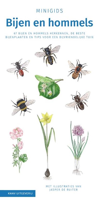 Minigids Bijen en Hommels, Maureen Kemperink - Losbladig - 9789050117937