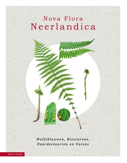 Nova Flora Neerlandica, Rense Haveman ; Roel Lemmens ; Iris de Ronde ; Erik Simons ; Joop Schaminee - Gebonden - 9789050118026