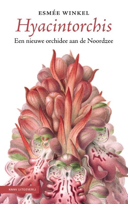 Hyacintorchis, Esmée Winkel - Gebonden - 9789050118071