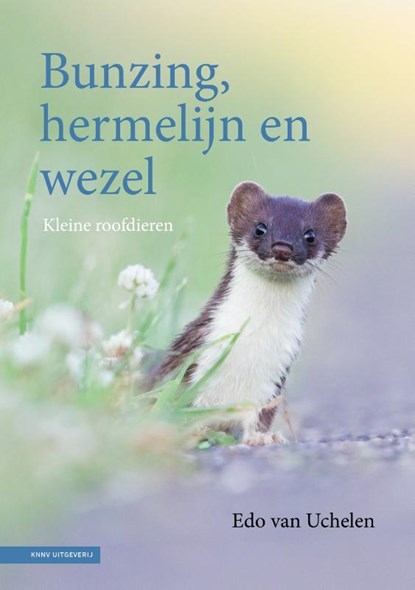 Bunzing, hermelijn en wezel, Edo van Uchelen - Gebonden - 9789050118200