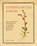 Stoepplantjesalbum, Hortus Botanicus Leiden - Gebonden - 9789050118644