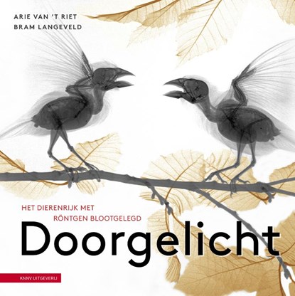 Doorgelicht, Bram Langeveld - Gebonden - 9789050118705