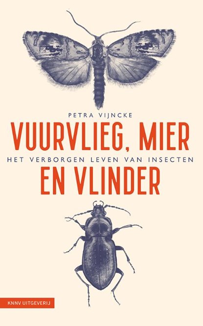 Vuurvlieg, mier en vlinder, Petra Vijncke - Paperback - 9789050118828