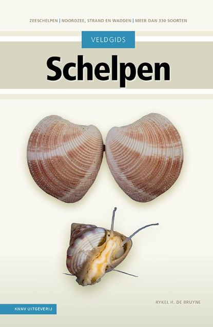 Veldgids Schelpen, Rykel de Bruyne - Gebonden - 9789050119023