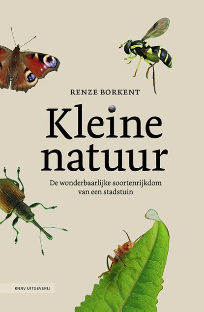 Kleine natuur, Renze Borkent - Paperback - 9789050119375