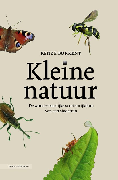 Kleine natuur, Renze Borkent - Ebook EPUB - 9789050119641