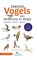 Zakgids Vogels van Nederland en België, Luc Hoogenstein ; Jip Louwe Kooijmans - Paperback - 9789050119764