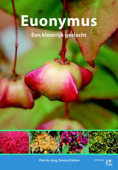 Euonymus - kardinaalsmutsen, Piet de Jong ; Henny Kolster - Paperback - 9789050119993