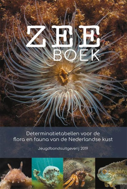 Zeeboek, Reinier De Vries - Paperback - 9789051070620