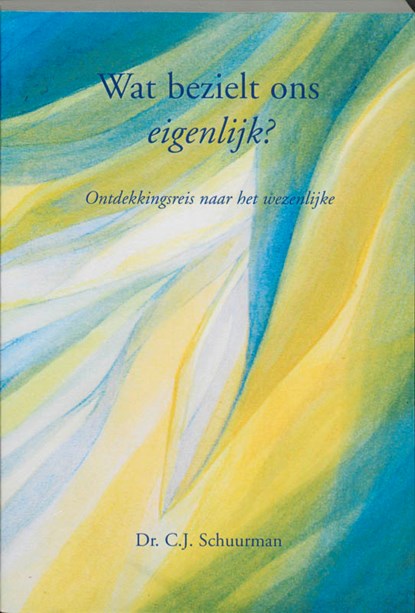 Wat bezielt ons eigenlijk?, C.J. Schuurman - Paperback - 9789051791396