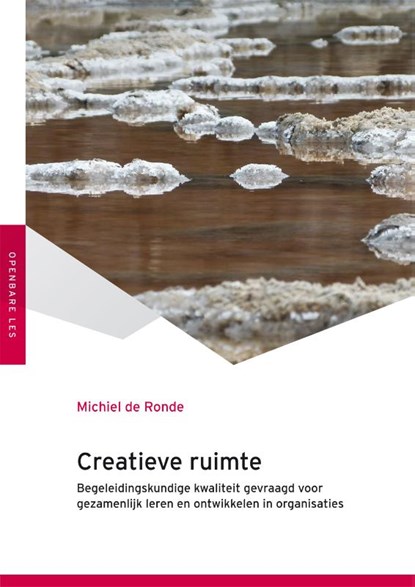 Creatieve ruimte, Michiel de Ronde - Paperback - 9789051799378