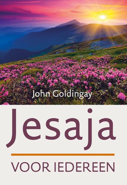 Jesaja voor iedereen, John Goldingay - Paperback - 9789051945140