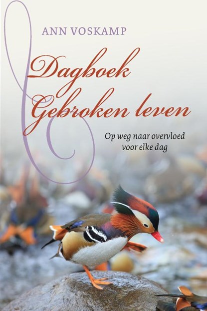 Dagboek Gebroken leven, Ann Voskamp - Gebonden - 9789051945591