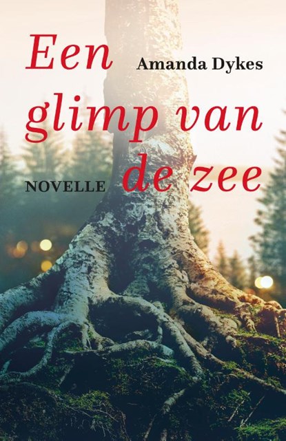 Een glimp van de zee, Amanda Dykes - Paperback - 9789051946123