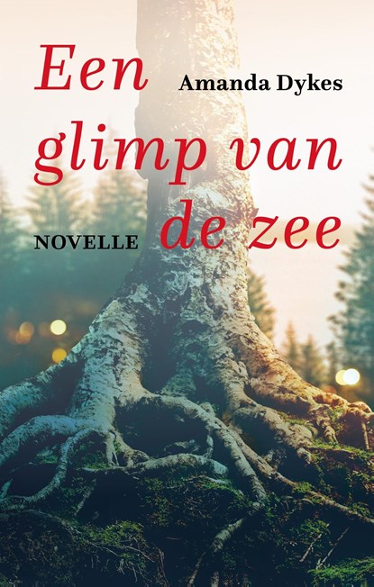 Een glimp van de zee (e-book), Amanda Dykes - Ebook - 9789051946130