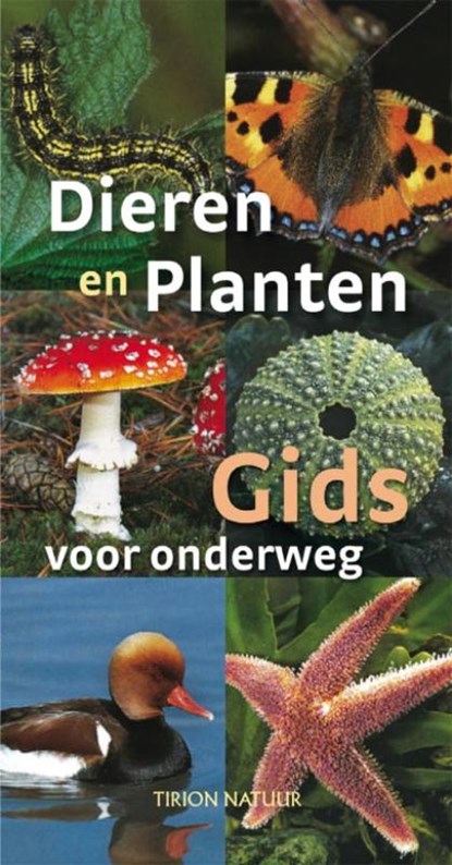 De dieren en plantengids voor onderweg, Wilhelm Eisenreich ; Alfred Handel ; Ute E. Zimmer ; TextCase - Paperback - 9789052107905