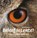 Beleef de lente + DVD, PEETERS, Hans - Paperback - 9789052108308