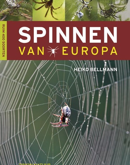 Spinnen van Europa, BELLMANN, Heiko - Paperback - 9789052108636