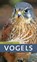 Vogels, Volker Dierschke - Paperback - 9789052109442