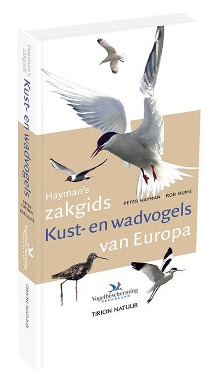 Hayman's zakgids kust- en wadvogels van Europa, Peter Hayman - Gebonden - 9789052109572