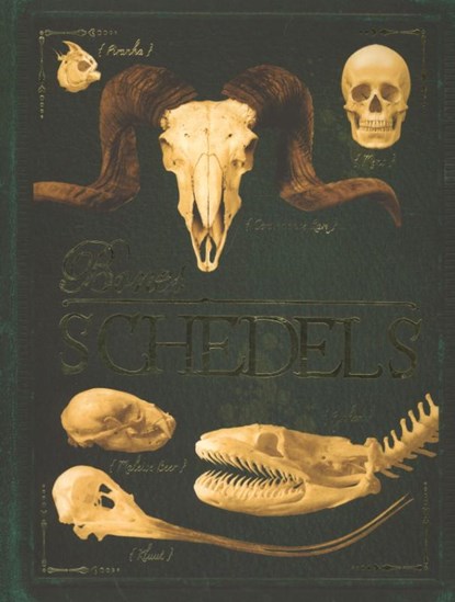 Bones schedels, Rob Colson - Paperback - 9789052109725