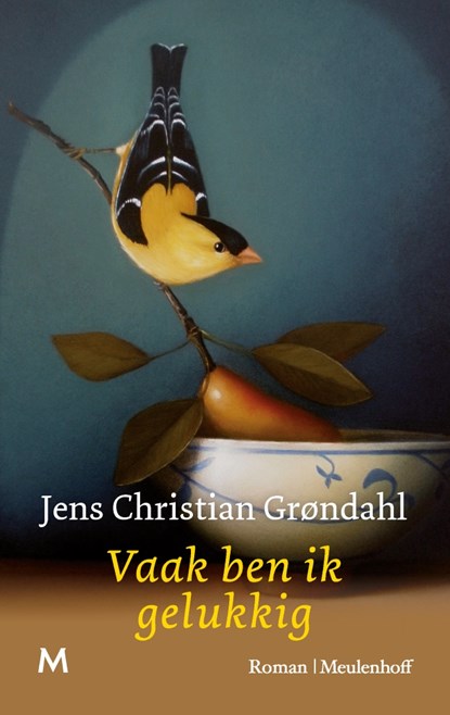 Vaak ben ik gelukkig, Jens Christian Grøndahl - Luisterboek MP3 - 9789052860930