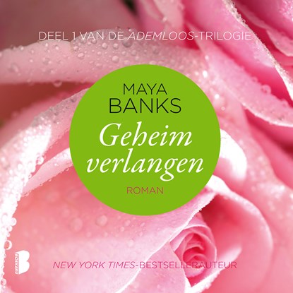 Geheim verlangen, Maya Banks - Luisterboek MP3 - 9789052862934