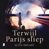 Terwijl Parijs sliep - Ruth Druart - 9789052864082