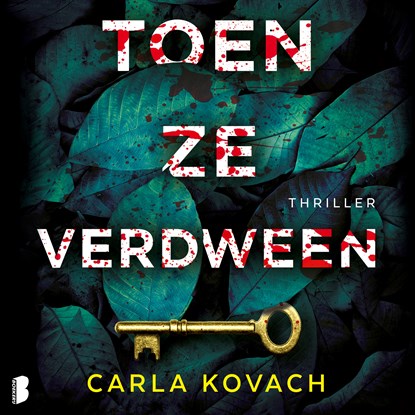 Toen ze verdween, Carla Kovach - Luisterboek MP3 - 9789052864709