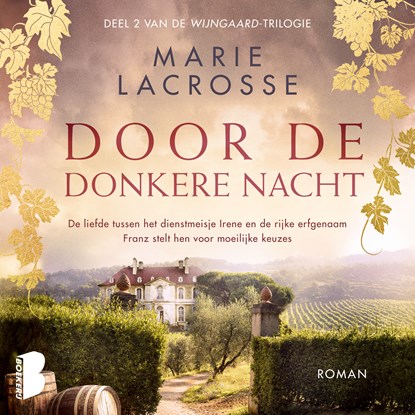 Door de donkere nacht, Marie Lacrosse - Luisterboek MP3 - 9789052869667